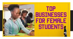 The Best Business Ideas for Female Students or Women in Nigeria