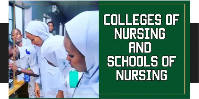 Differences Between Colleges of Nursing and Schools of Nursing