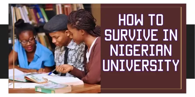 How to Survive in Nigerian University as a freshman
